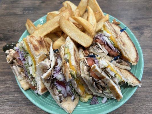 Chicken garden pita with steak fries