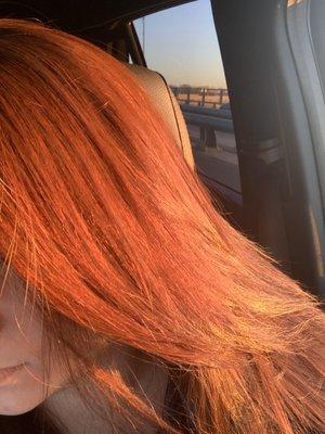 My red hair that was suppose to be brown