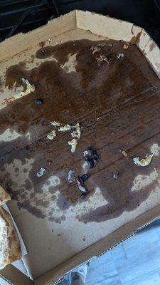 This is a pic of the box after I removed the pizza to place it on paper towels to get some grease off of it. Gross!