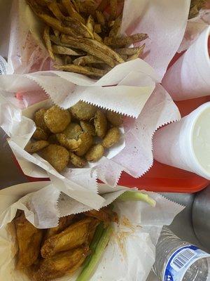 Fried Pickles & 6 piece wing combo