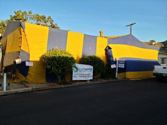 Cal Termite Fumigation.