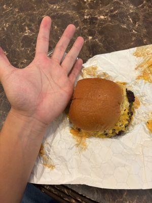 Double burger (smaller than palm)