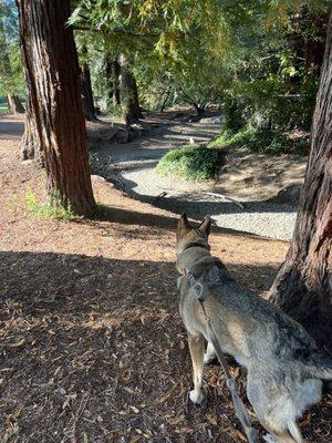 Creek dry by august