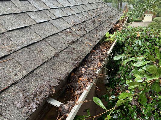 Got gutters? Get them cleaned!