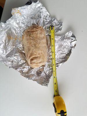 Sorry ass excuse for achipotle burrito. Shit didn't even break six inches.