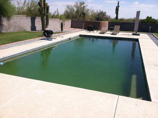 Before Bee Clean Pools service, we did have to drain this pool.