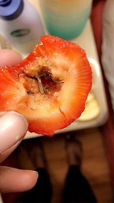 This was in the strawberry I was about to feed my child luckily I cut it open first