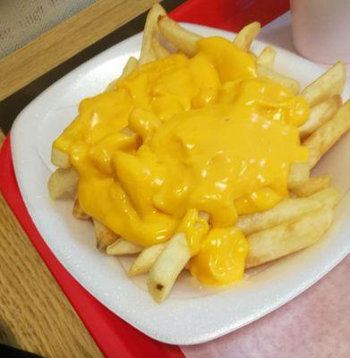 Cheese fries were steamy hot!