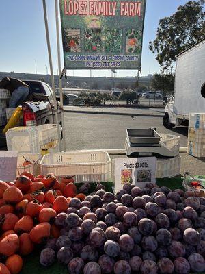 Delicious pluots from Lopez Family Farm.