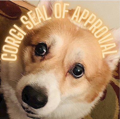 Corgi Seal of Approval