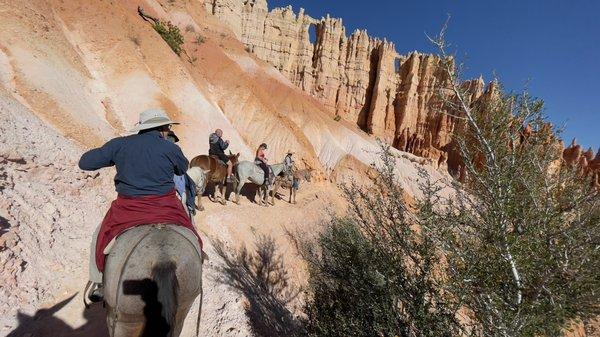 Half day trail ride along the Peek-a-Boo trail at Bryce Canyon National Park.