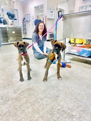 Nina, 1st yr vet student with twin boxers, "Chente" and "Pepita"