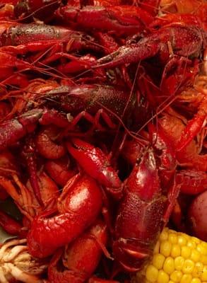 Crawfish time!