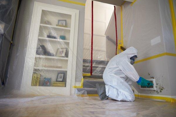 Mold Remediation- Containment