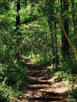 HIKING TRAIL