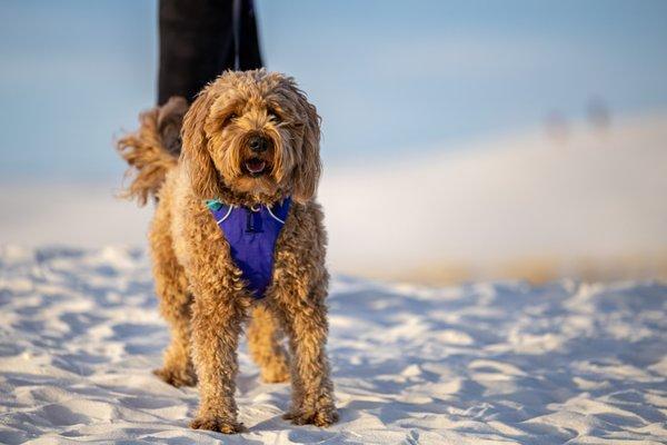 White Sands National Monument