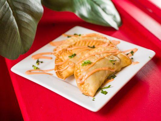 Who doesn't love empanadas!?  Taste our chicken, beef or ham & cheese empanadas with our signature mayo-ketchup aioli sauce