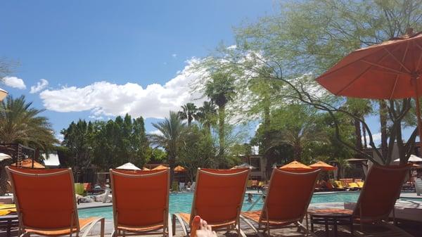 Beautiful day in the desert,  pool side.