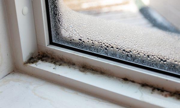 leaks happen because the caulk or sealant around the window has gotten old and cracked, allowing rain to enter the house and growing mold