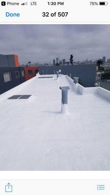 Silicone roof