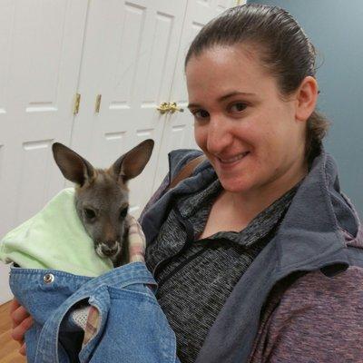 Holding a baby kangaroo from the Columbus Zoo at the Wedgewood Country Club Health Fair today.