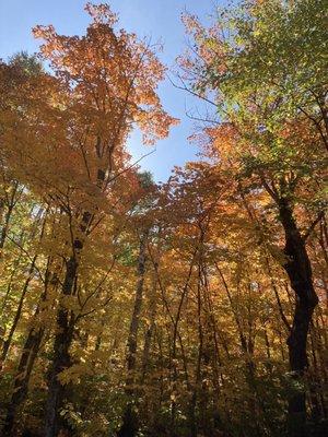 Various scenes over the years in Reservoir Woods.