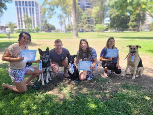 The group! These wonderful pups all passed their CGCA test.