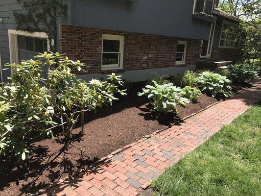 Mulching, new plantings