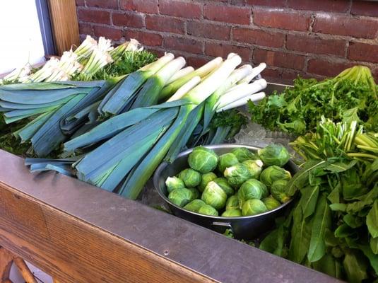 Typical produce display. Gorgeous, fresh, affordable!