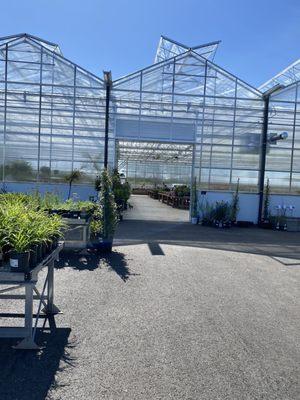 Greenhouse building