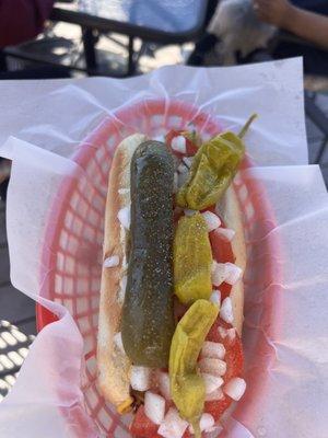 Chicago Dog