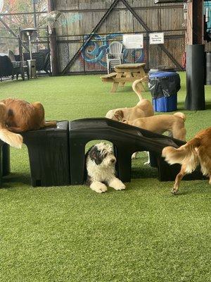 The Pawms Pet Resort Birmingham