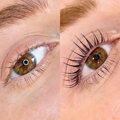 Elleebana Lash Lift with Tint