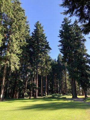 East Course.  Pretty much you are playing in a forest.  Forest bath with a lot of phytoncide surrounding golfers on the course