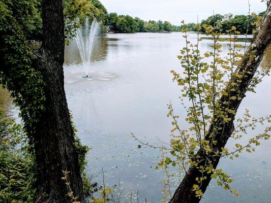 View of lake