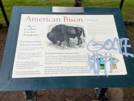 American Bison is our largest living American treasure.