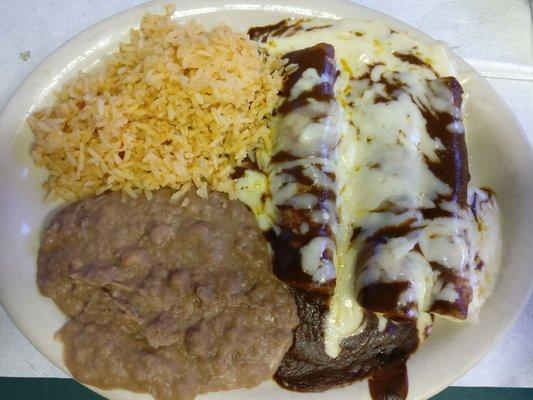 Mole enchiladas with rice and beans. Very good.