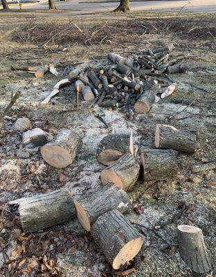 Cut into firewood rounds.