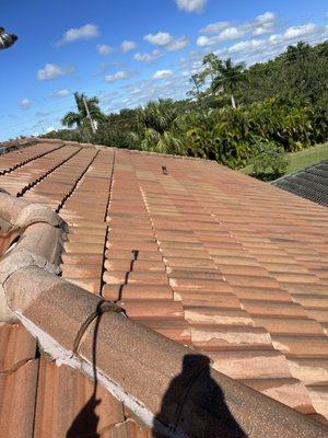 Middle of roof cleaning soft wash