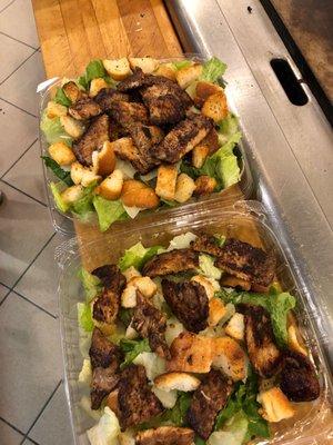 Grilled Chicken Ceaser Salad