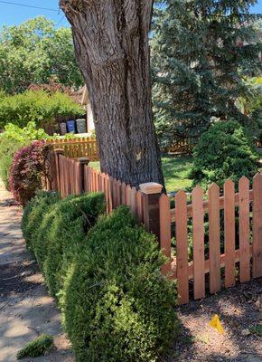 FCR is the Top Fence contractor in Martinez and beyond! Fences & Gates, Decks & Railing, Wooden Fence Services