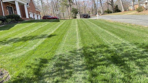 Blue Green Lawn & Landscape