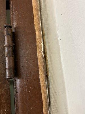 Cockroach nest along bathroom door.