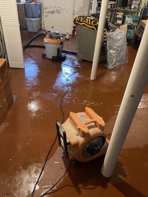 Basement cleanup companies near me.