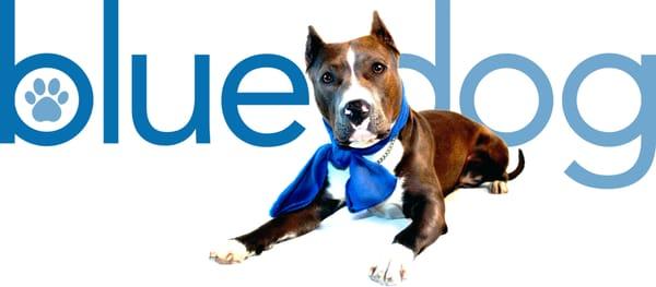 Blue Dog K9 Care