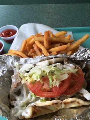 Gyro and fries