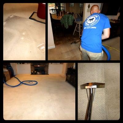 Carpet Cleaning - IICRC Certified