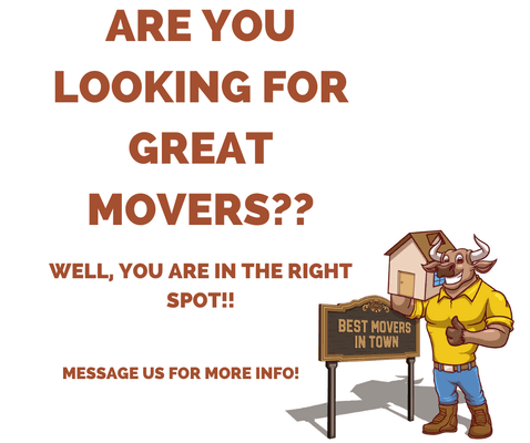 BOB THE BULL wants to make sure you guys are getting with the right movers that truly care about your items and belongings!