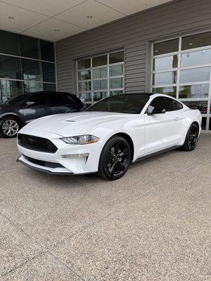 New Mustang!