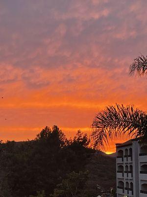 Sunset view from my balcony.